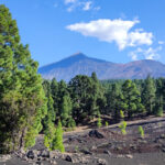 Teneriffa-Teide-Landschaft