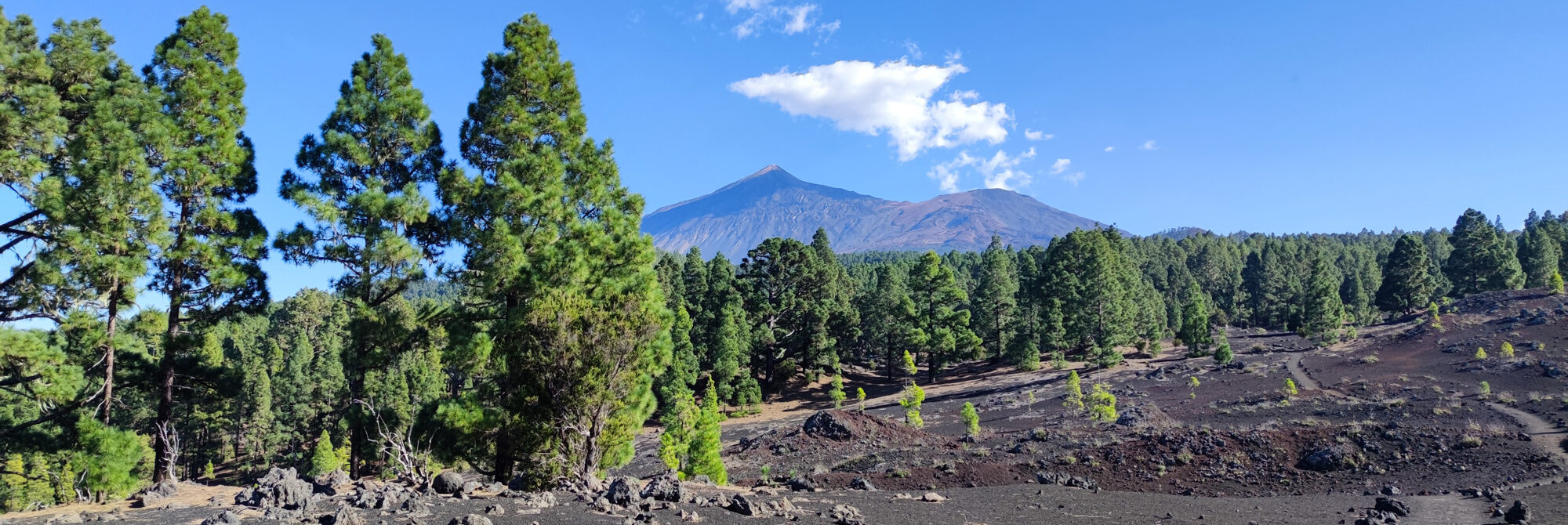 Teneriffa-Teide-Landschaft